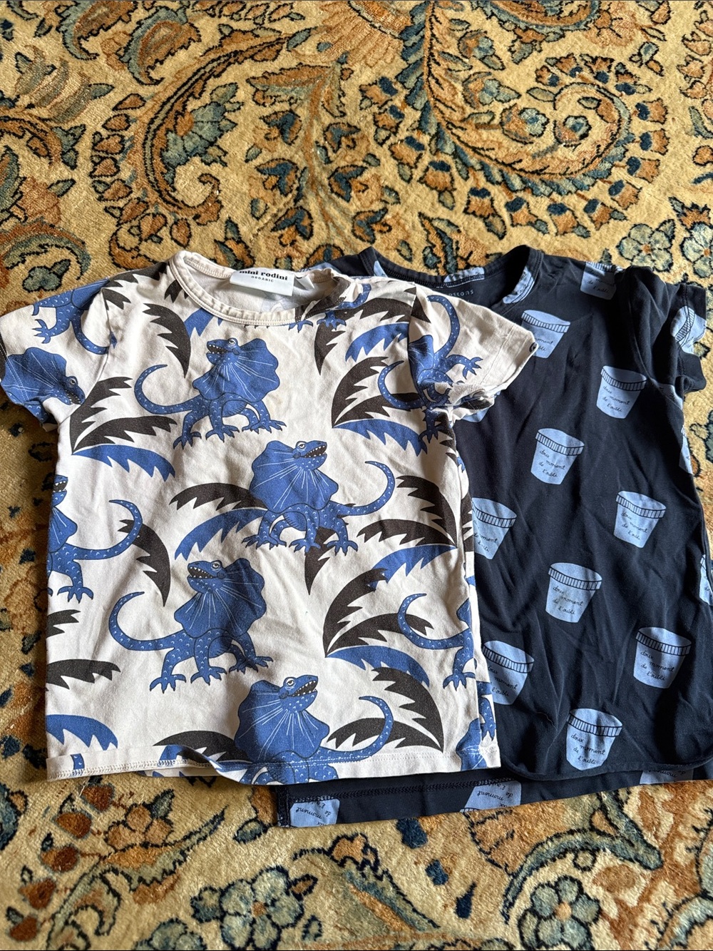 Mini Rodini Blue Lizard Print Tee on Cream and tiny cottons t 3y